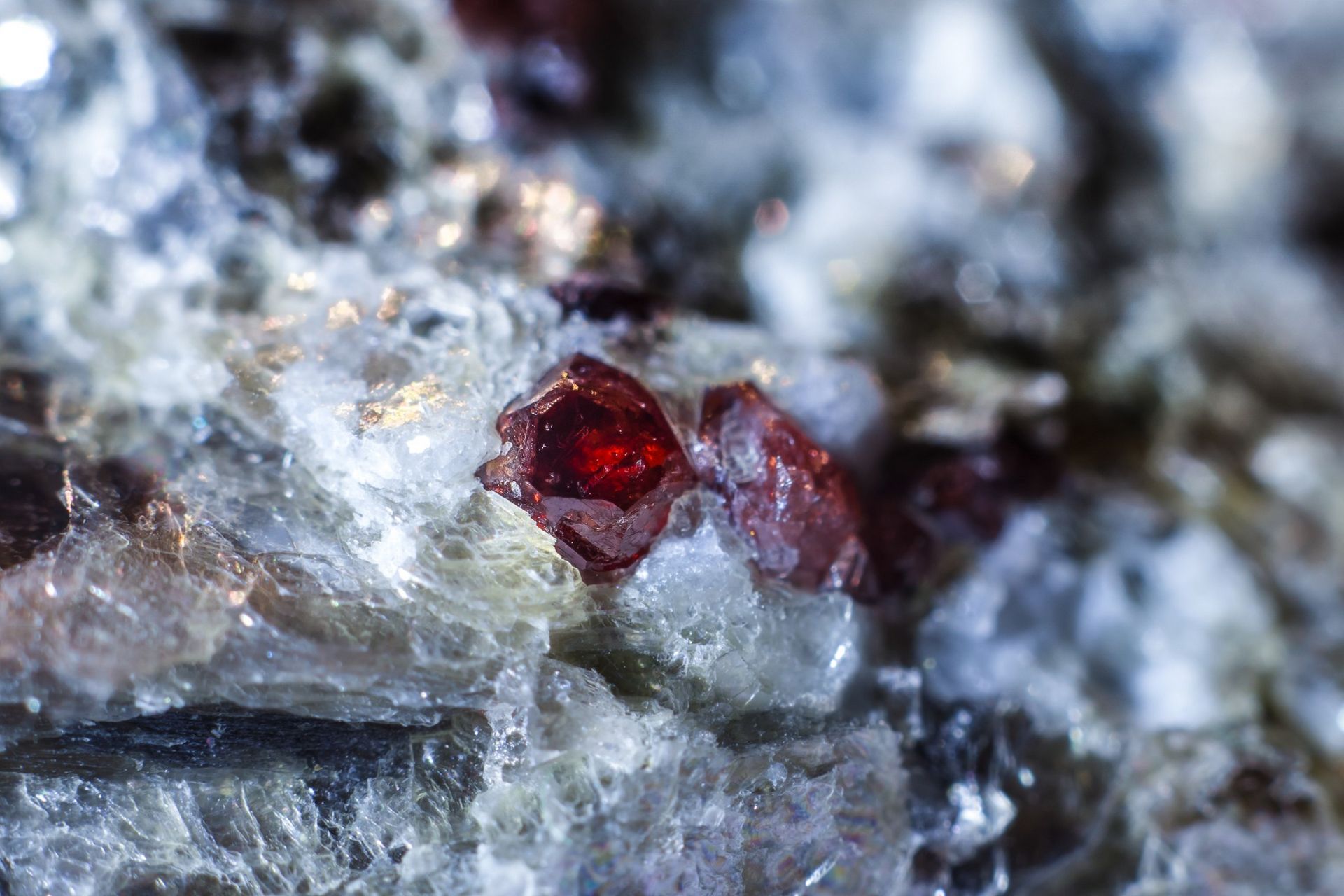 Granatowy potwór z Siedlimowic