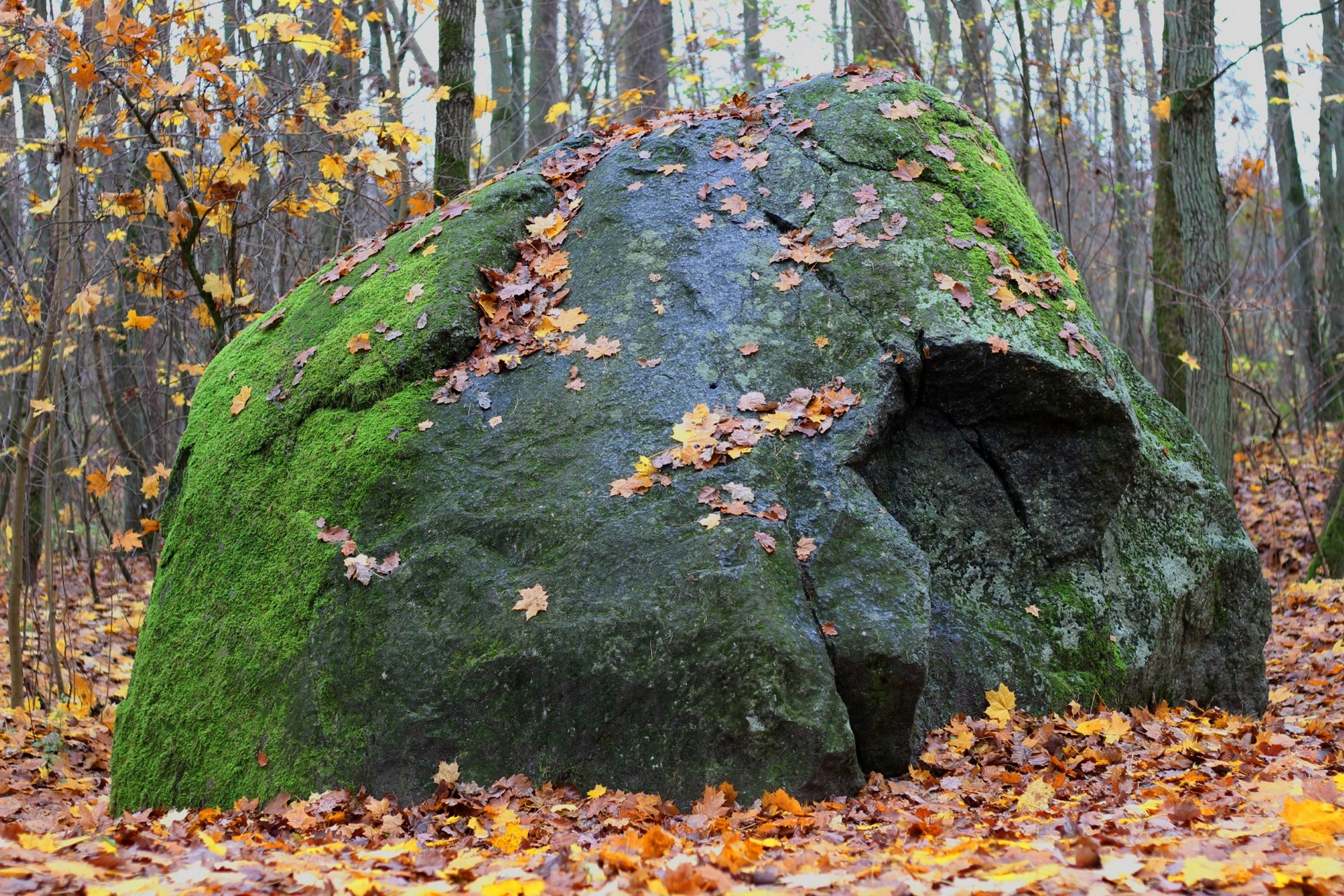 Nie ma to jak w Domu